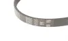 Ремень генератора Nissan Almera/Primera/Sunny 1.0-5.0 82- Gates 4PK813 (фото 2)