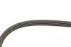 Ремень генератора Nissan Almera/Primera/Sunny 1.0-5.0 82- Gates 4PK813 (фото 4)