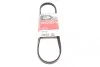 Ремень генератора Nissan Primera/Micra/Note/Toyota Corolla 1.0-2.5D 83- Gates 4PK823 (фото 1)