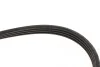 Ремень генератора Nissan Primera/Micra/Note/Toyota Corolla 1.0-2.5D 83- Gates 4PK823 (фото 4)