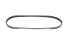 Ремень генератора Nissan Primera/Micra/Note/Toyota Corolla 1.0-2.5D 83- Gates 4PK823 (фото 5)