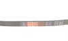 Ремень генератора Nissan Primera/Chevrolet Matiz 1.0-2.0 91- Gates 4PK833 (фото 6)