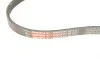 Ремень генератора BMW 5 (E60)/X3 (E83/)X5 (E70)/X6 (E71/E72) 3.0D 04-13 M57 Gates 4PK843SF (фото 2)