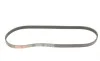 Ремень генератора BMW 5 (E60)/X3 (E83/)X5 (E70)/X6 (E71/E72) 3.0D 04-13 M57 Gates 4PK843SF (фото 5)