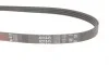 Ремінь генератора Honda Civic VI/Nissan Primera 1.3-6.0 87- Gates 4PK845 (фото 2)