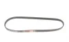 Ремінь генератора Honda Civic VI/Nissan Primera 1.3-6.0 87- Gates 4PK845 (фото 5)