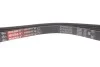 Ремень генератора BMW 3 (E46)/7 (E65/E66/E67)/X3 (E83) 2.0/4.4D 01-10 M47/M67 Gates 4PK895SF (фото 4)