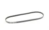 Ремень генератора Peugeot Expert/Citroen Jumpy/Renault Kangoo 1.0-3.5 88- Gates 4PK905 (фото 2)