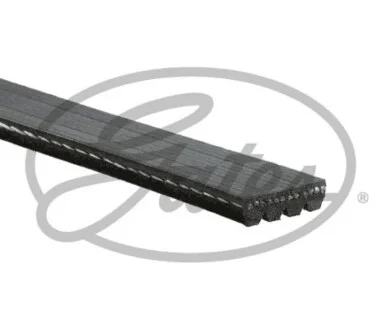 Ремінь генератора Ford Mondeo V 2.0 EcoBoost 14- (4PK914) Gates 4PK914SF