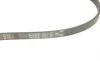 Ремень генератора BMW 3 (E46)/Kia Rio 00-05 Gates 4PK970 (фото 4)