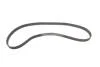 Ремень ГРМ Fiat Bravo/Marea/Lancia Kappa/Lybra 2.0 20V 95-05 (24x167z) Gates 5423XS (фото 1)