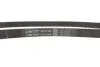 Ремень ГРМ Fiat Bravo/Marea/Lancia Kappa/Lybra 2.0 20V 95-05 (24x167z) Gates 5423XS (фото 3)