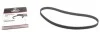 Ремінь ГРМ Ford Fiesta/Focus 1.4i/1.6 16V (117z) 98- Gates 5433XS