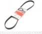 Ремінь генератора Ford Escort 1.8 D 90-00 Gates 5PK1013 (фото 1)