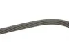 Ремінь генератора Citroen Jumper 3.0HDI 06- Gates 5PK1023 (фото 3)