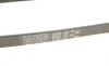 Ремінь генератора Renaul Trucks Kerax/Premium 9.8-11.1 96- Gates 5PK1023HD (фото 4)
