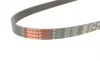 Ремень генератора Mazda 323/626/Opel Astra G/Vectra B/C 2.0/2.2 00-08 Gates 5PK1030 (фото 5)