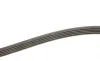 Ремень генератора Citroen Jumper 2.8HDI 00-/Honda Accord 1.9-2.2 93-98/ Toyota Carina 2.0 96-97 Gates 5PK1103 (фото 3)