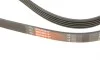 Ремень генератора Citroen Jumper 2.8HDI 00-/Honda Accord 1.9-2.2 93-98/ Toyota Carina 2.0 96-97 Gates 5PK1103 (фото 4)