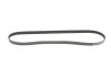 Ремінь генератора Volvo S60 II/S80 II/V60 I/V70 III/XC60 I/XC70 II 2.0/2.4D 06-18 Gates 5PK1123XS (фото 5)