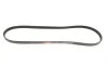 Ремень генератора Fiat Palio 1.2 97-/Land Rover Freelander 1.8i 98-06 Gates 5PK1193 (фото 4)