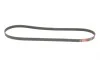 Ремінь генератора Alfa Romeo Giulietta/Chevrolet Malibu/Jeep Renegade 1.4/2.4 99- Gates 5PK1215 (фото 2)