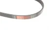 Ремінь генератора Alfa Romeo Giulietta/Chevrolet Malibu/Jeep Renegade 1.4/2.4 99- Gates 5PK1215 (фото 5)