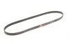 Ремень генератора Opel Astra G 1.2i/1.4i 04- Gates 5PK1230 (фото 2)