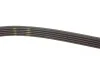 Ремень генератора Peugeot Partner 1.4-1.6 16V 96-15/ Toyota Avensis/ Corolla2.0 D-4D 03-09 Gates 5PK1255 (фото 3)