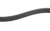 Ремень генератора VW Passat B5/Audi A4/A6 1.6/1.8 95- Gates 5PK1303 (фото 2)