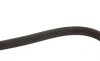 Ремінь генератора Suzuki Grand Vitara 2.0 05- Gates 5PK1550 (фото 4)