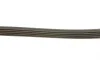 Ремень генератора Suzuki SX4 2.0 06- Gates 5PK1665 (фото 4)
