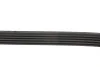 Ремень генератора Opel Astra K 1.0/1.4 15-22/Insignia B 1.5 17- Gates 5PK1680 (фото 4)