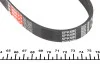 Ремень генератора Ford Mondeo I/II 1.8TD 93-00 Gates 5PK580 (фото 4)