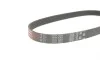 Ремінь генератора Mazda 626/Subaru Forester/Impreza/Legacy/Outback 89- Gates 5PK683 (фото 2)