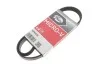 Ремень генератора Opel Omega B 2.5DTI 01-03 Gates 5PK828 (фото 2)