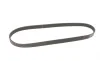 Ремень генератора Ford Focus/Kuga 2.5 05- Gates 5PK848 (фото 6)