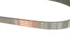 Ремінь генератора BMW 3/5 2.0-3.0 95-07 Gates 5PK865 (фото 5)