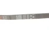 Ремень генератора Ford Mondeo I-II/Fiesta IV/Focus II 1.8 TD/2.5 ST 93-00 Gates 5PK885 (фото 5)