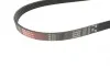 Ремінь генератора BMW 3/5 90-00 / Ford Focus 2.5 05-12 Gates 5PK890 (фото 2)