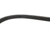Ремінь генератора BMW 3/5 90-00 / Ford Focus 2.5 05-12 Gates 5PK890 (фото 3)