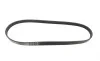 Ремінь генератора BMW 3/5 90-00 / Ford Focus 2.5 05-12 Gates 5PK890 (фото 4)