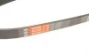 Ремінь генератора Honda Accord/Fiat Punto/VW Passat B7 1.7TD-2.5 -97 Gates 5PK933 (фото 5)