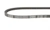 Ремень генератора Opel Astra F/Corsa A/Kadett/Vectra A 1.2-1.4 75-93 Gates 6215MC (фото 3)