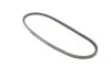 Ремень генератора Opel Omega A/Vectra A 2.0-3.0 86-95/Ford Fiesta 1.0-1.1 76-95 (10x813) Gates 6262MC (фото 2)