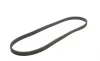 Ремінь генератора VW T5 1.9TDI/VW Caddy III 1.9/2.0TDI (+AC) Gates 6DPK1195 (фото 2)