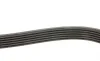 Ремінь генератора Volvo C70/S60/S70/S80/XC90 2.0-3.8 98-20 Gates 6DPK1825 (фото 3)