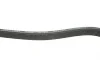 Ремень генератора Volvo C70/S40/S80/S70/V70/XC70/XC90 1.6-3.0 95-14 Gates 6DPK1838 (фото 3)