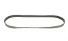 Ремень генератора VW Caddy/Golf VI-VIII/Passat B8/Tiguan/Touran 1.0-1.6 13- Gates 6PK1003 (фото 4)