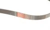 Ремінь генератора Citroen Berlingo/Peugeot Partner 1.6 BlueHDi 08- Gates 6PK1005EST (фото 5)